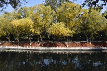 DSC07261_