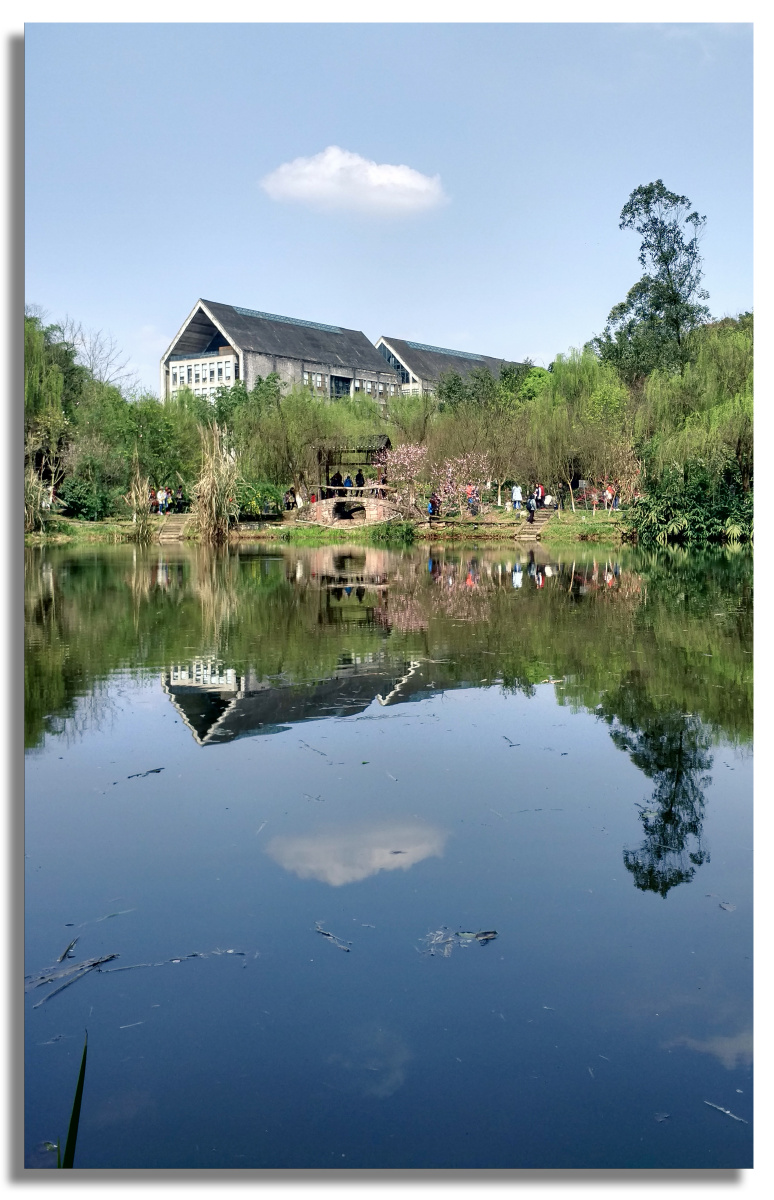 小米手机镜头下的川美之春