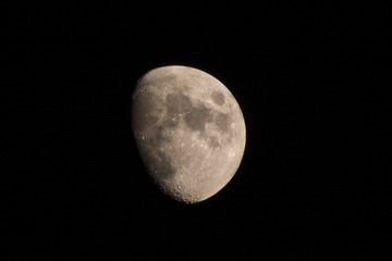 Moon-