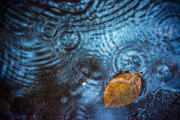 _DSC7451