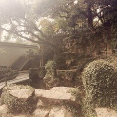 2014-11-15 112021