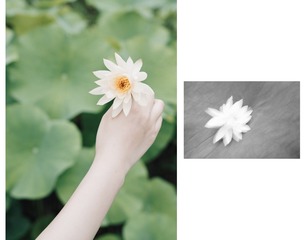 083F26C3-3F99-455B-8186-5BEEC30EFACB/L0/001