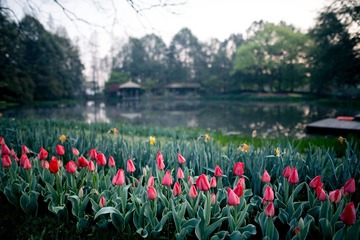_DSC6230