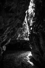 _DSC15599