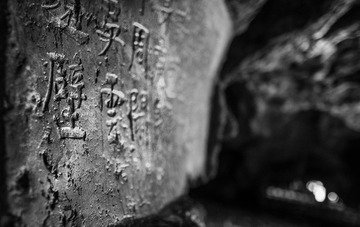 _DSC15603