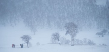 _DSC7149
