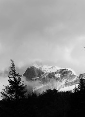 _DSC7610