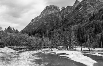 _DSC7411