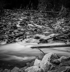 _DSC7758