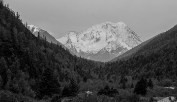 _DSC8112