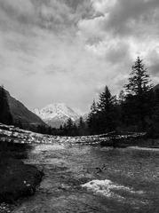 _DSC8150