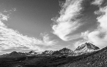 _DSC8214