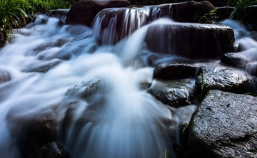 _DSC9778