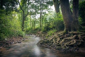 _DSC8690