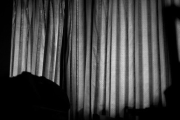窗帘|Window Curtains