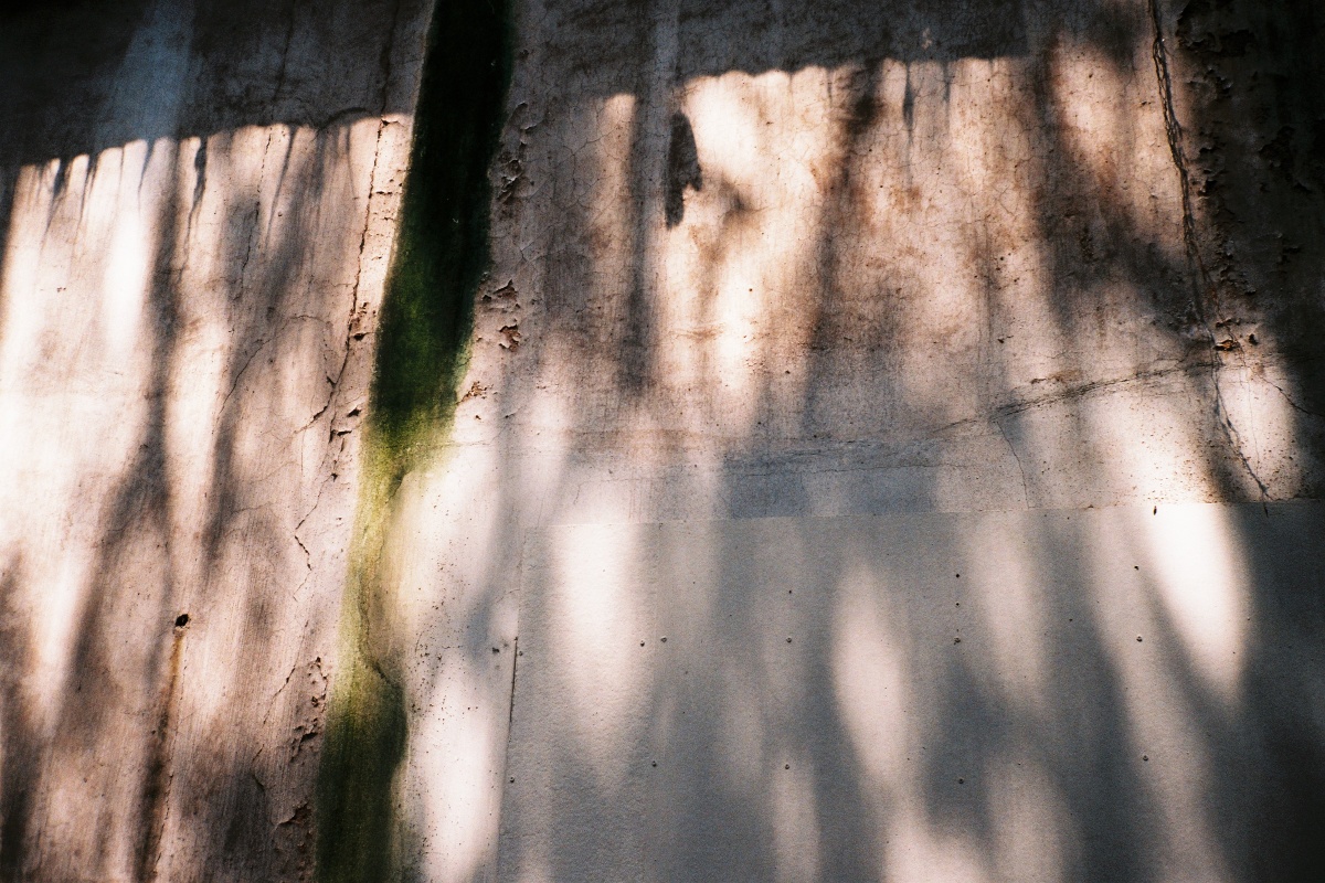 时光斑驳了记忆,切割了回忆