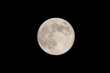 IMG_2145.jpg