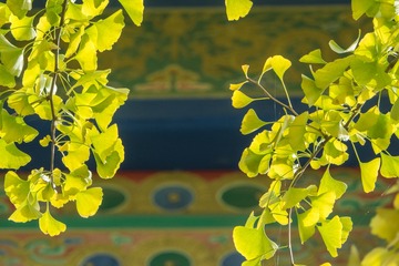 滨江大道