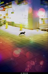 夜行侠！请留步！