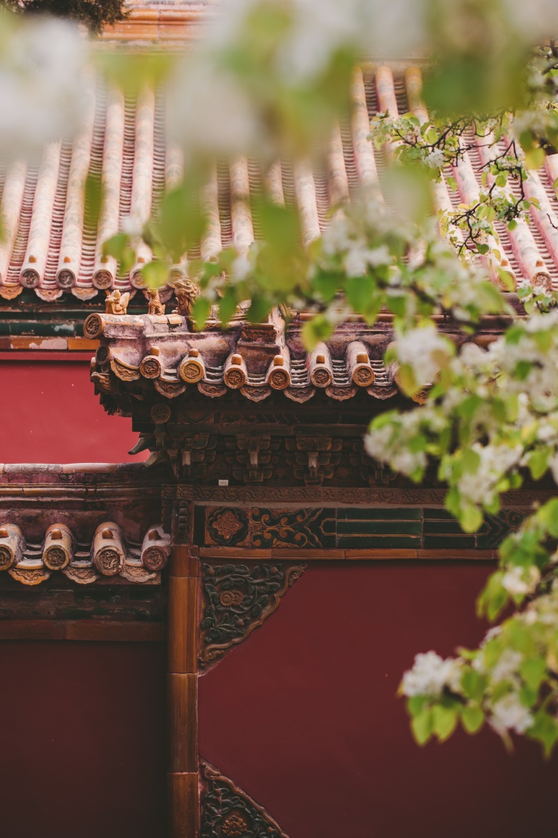 寥落古行宫宫花寂寞红白头宫女在闲坐说玄宗