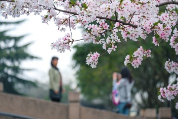 XP2F0776