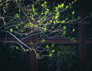 XP2F0581-1