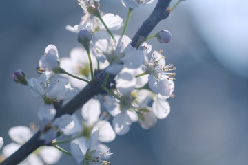 XP2F3795