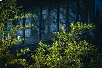 XP2F0583