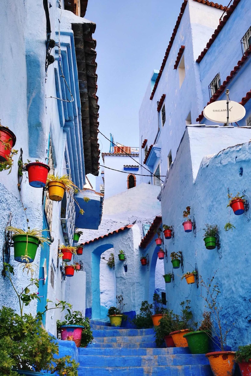 舍夫沙万蓝色信仰