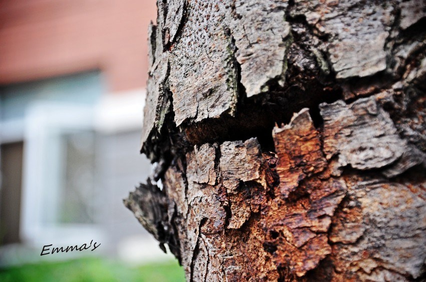 DSC_0171_<br />
