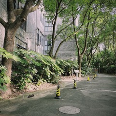 7D2A9193-7196-49F3-A6C5-4BC9E36C4350/L0/001