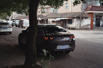 1000036282