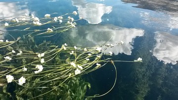 20141006_145241