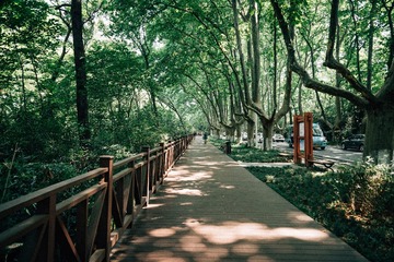 DSC02646-2
