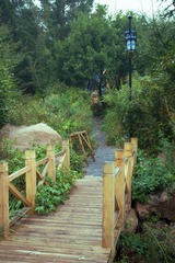 _MG_6141 (1)