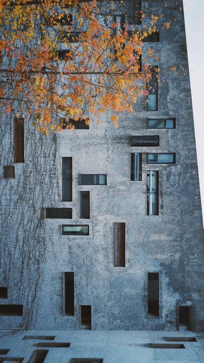 中国美院设计之美