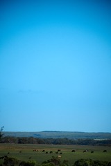 KI_DSF8376