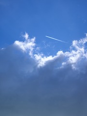 A321D856-D547-4FC6-B4B0-02D5872D6BE5/L0/001