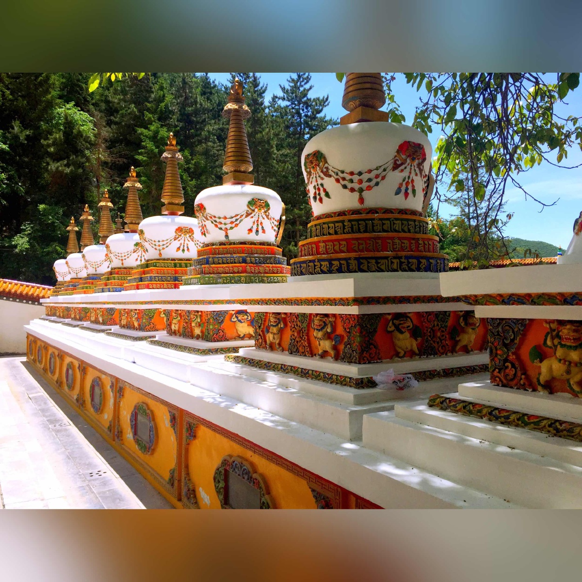 苦提本无树。 - 色彩, 风光, 手机, 佛教 - 羊醒醒