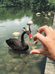 心连心