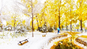 2015年11月6日雪