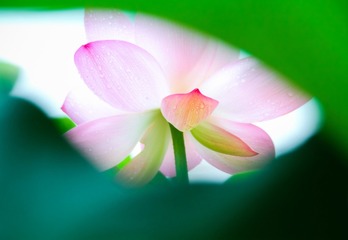 IMG_0437 