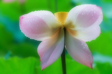 IMG_0477 