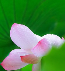IMG_0479 