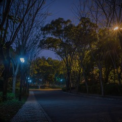 DSC03754-1