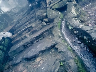 DSC_0017(1)-3