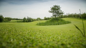 高尔夫