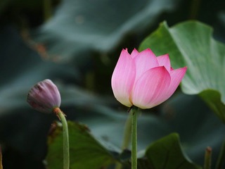 IMG_0855.jpg