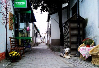 20111003024-1.jpg