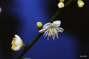 IMG_0120.jpg